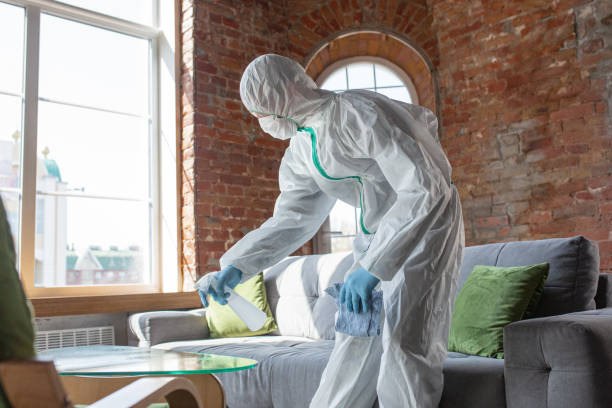 Mold Removal & Remediation